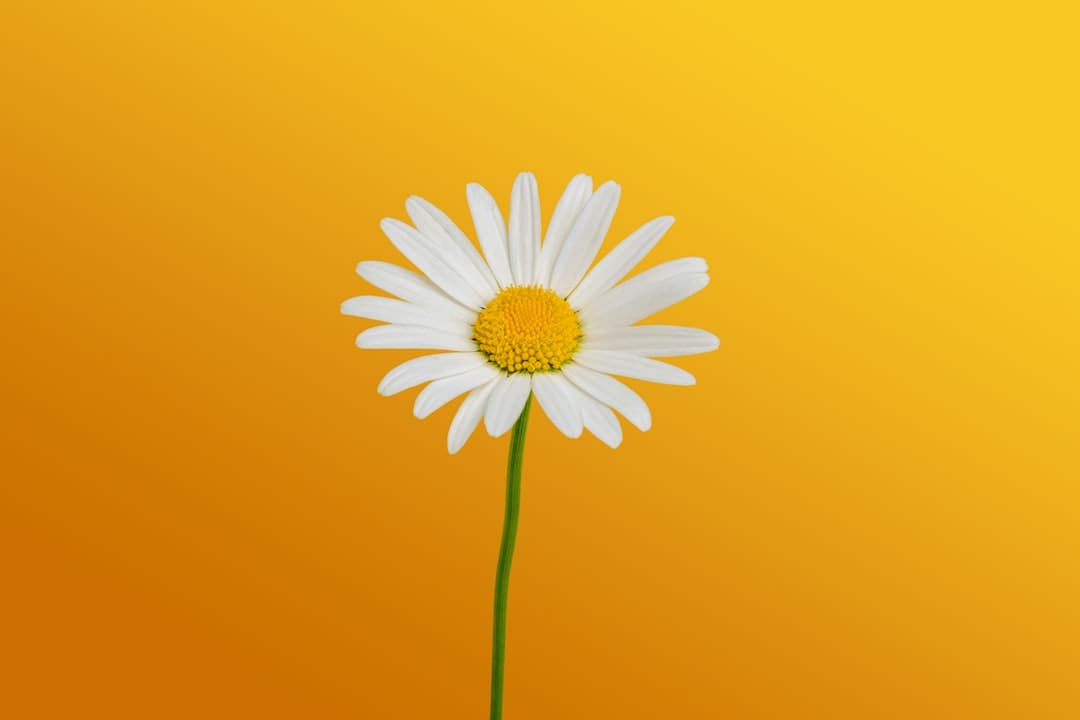 《致芳华2》首映李梦化身莫郁华羞涩表白金世佳